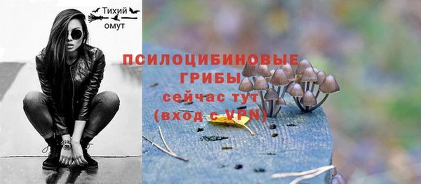 прущий лед Касимов