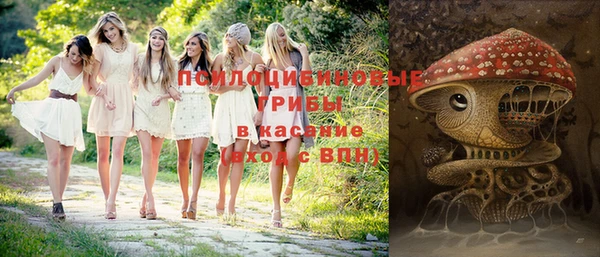 прущий лед Касимов