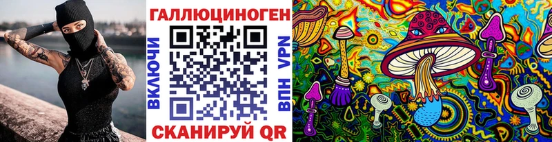 Купить где Обь Галлюциногенные грибы Psilocybine cubensis